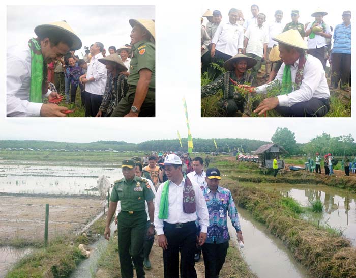 "Singkat Saja ya Pidatonya, yang Penting Bantuan untuk Tapin" : Mentan